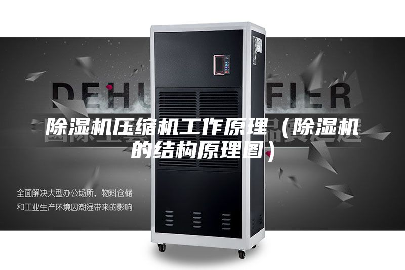 除湿机压缩机工作原理（除湿机的结构原理图）