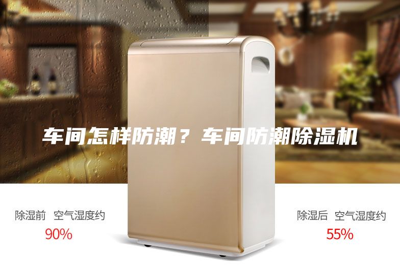 车间怎样防潮？车间防潮除湿机