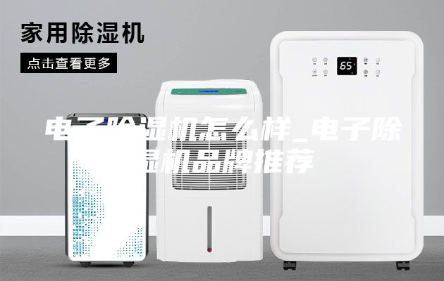 电子除湿机怎么样_电子除湿机品牌推荐
