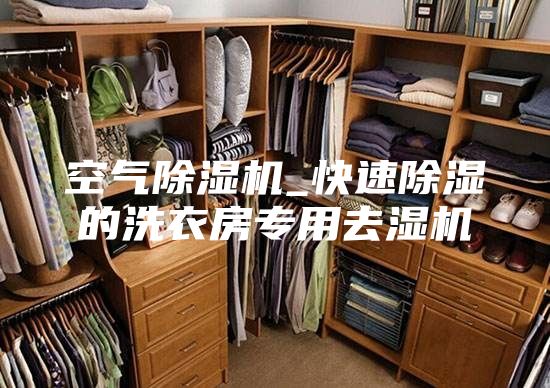 空气除湿机_快速除湿的洗衣房专用去湿机
