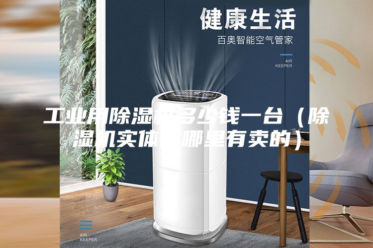 工业用除湿机多少钱一台（除湿机实体店哪里有卖的）