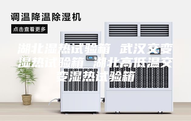 湖北湿热试验箱 武汉交变湿热试验箱 湖北高低温交变湿热试验箱