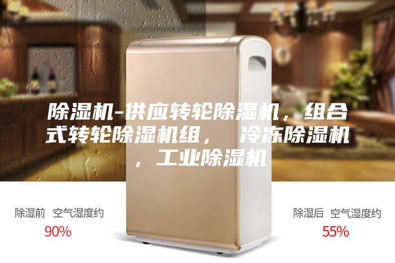 除湿机-供应转轮除湿机，组合式转轮除湿机组， 冷冻除湿机，工业除湿机