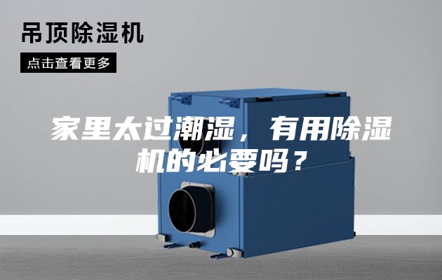家里太过潮湿，有用除湿机的必要吗？
