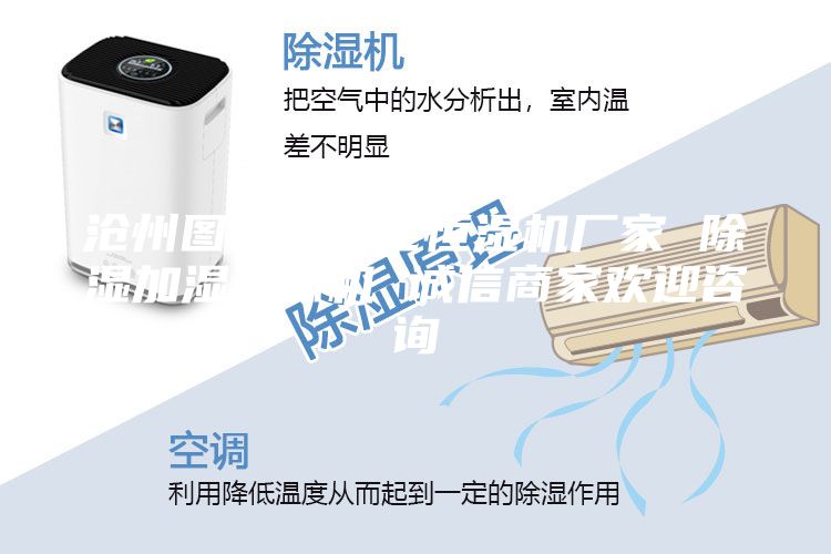 沧州图书馆净化恒湿机厂家 除湿加湿一体机 诚信商家欢迎咨询