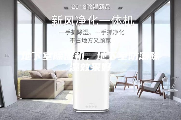 地下室除湿机，地下室防潮除湿效果好