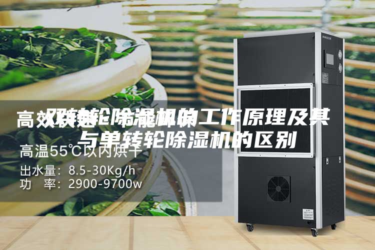 双转轮除湿机的工作原理及其与单转轮除湿机的区别