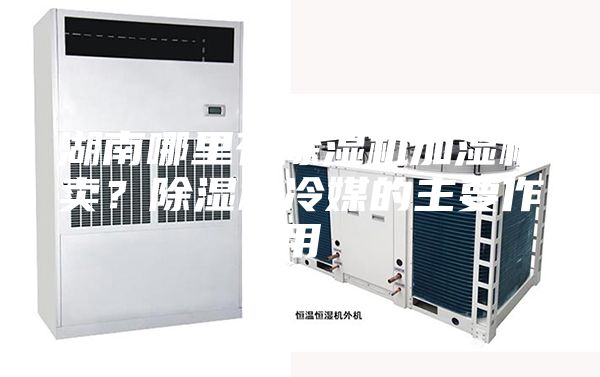 湖南哪里有除湿机加湿机卖？除湿机冷媒的主要作用