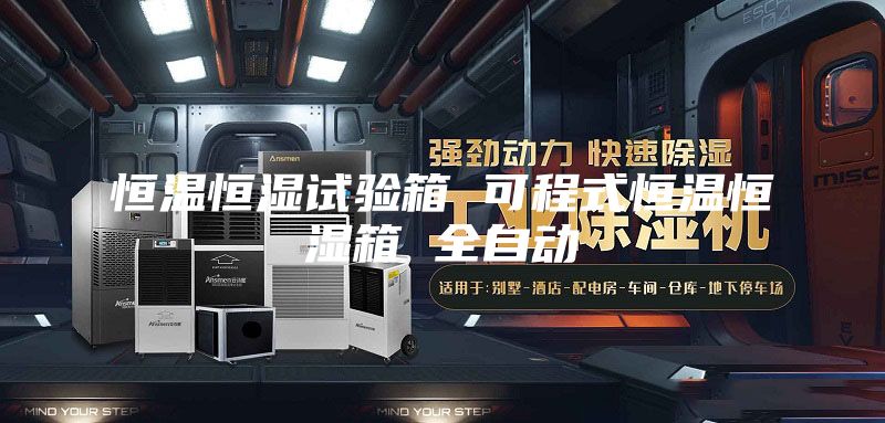 恒温恒湿试验箱 可程式恒温恒湿箱 全自动