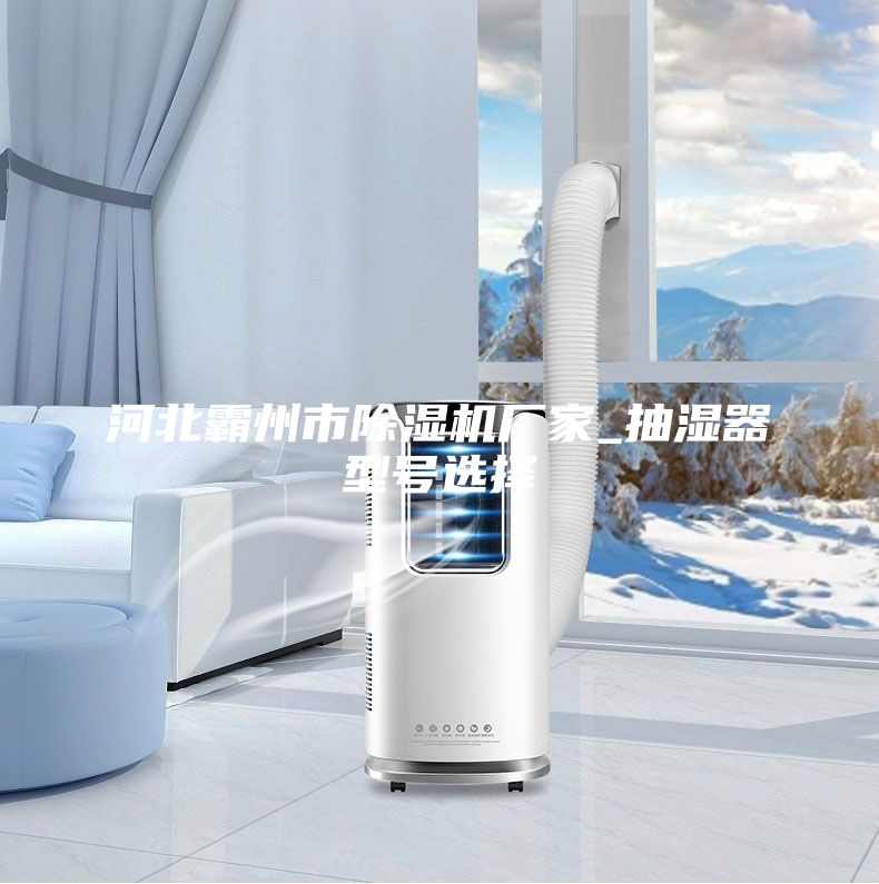 河北霸州市除湿机厂家_抽湿器型号选择