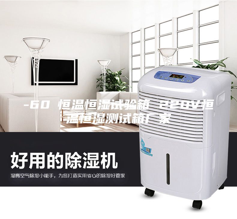 -60℃恒温恒湿试验箱 220V恒温恒湿测试箱厂家