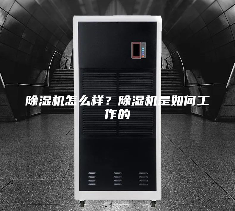 除湿机怎么样？除湿机是如何工作的