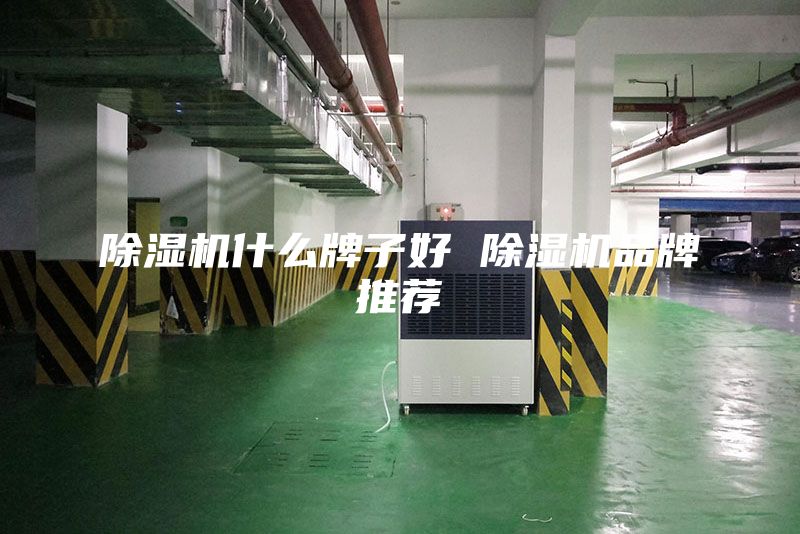 除湿机什么牌子好 除湿机品牌推荐