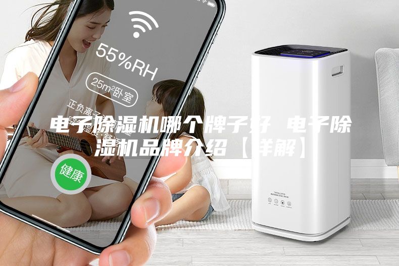 电子除湿机哪个牌子好 电子除湿机品牌介绍【详解】