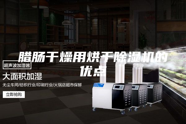 腊肠干燥用烘干除湿机的优点