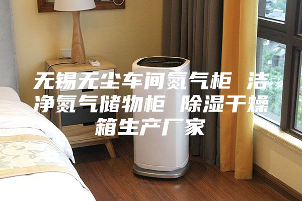 无锡无尘车间氮气柜 洁净氮气储物柜 除湿干燥箱生产厂家