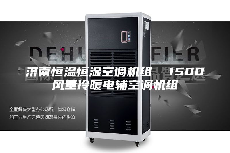 济南恒温恒湿空调机组  1500风量冷暖电辅空调机组
