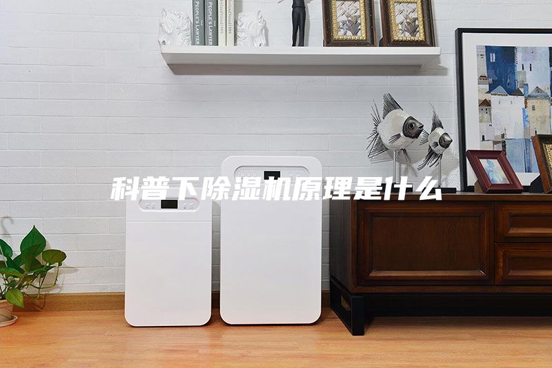 科普下除湿机原理是什么