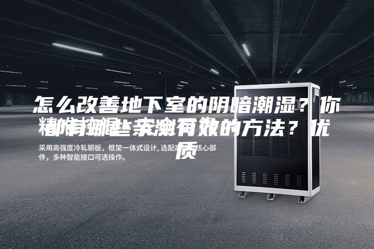 怎么改善地下室的阴暗潮湿？你都有哪些亲测有效的方法？优质