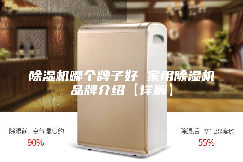 除湿机哪个牌子好 家用除湿机品牌介绍【详解】