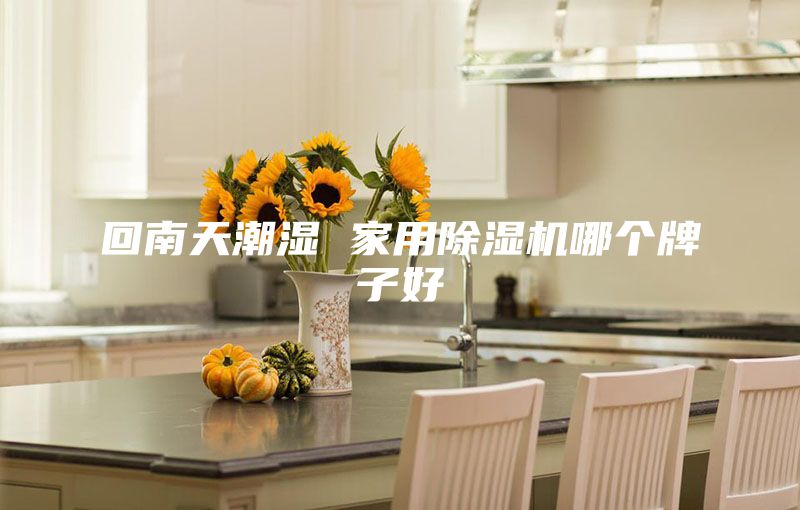 回南天潮湿 家用除湿机哪个牌子好