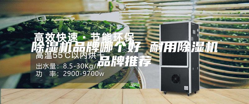 除湿机品牌哪个好 耐用除湿机品牌推荐