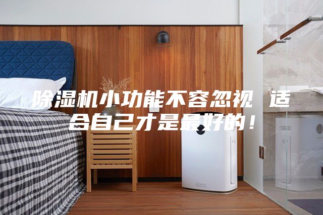 除湿机小功能不容忽视 适合自己才是最好的！