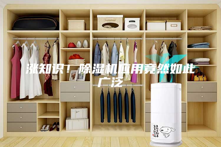 涨知识！除湿机应用竟然如此广泛