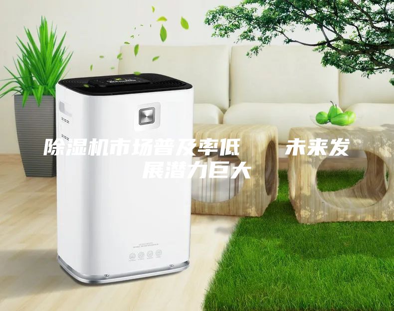 除湿机市场普及率低   未来发展潜力巨大