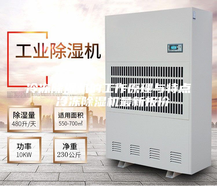 冷冻除湿机的工作原理与特点 冷冻除湿机最新报价