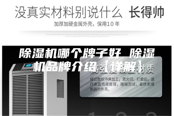 除湿机哪个牌子好 除湿机品牌介绍【详解】