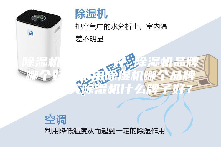 除湿机哪个牌子好 除湿机品牌哪个好？家用除湿机哪个品牌好，想买除湿机什么牌子好？