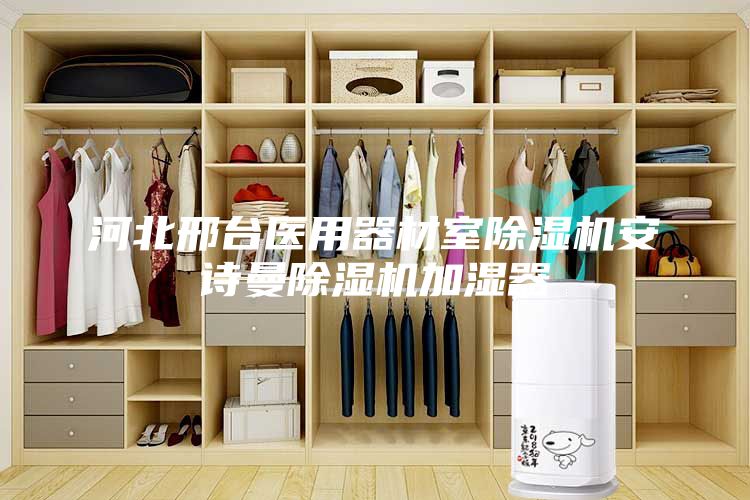 河北邢台医用器材室除湿机安诗曼除湿机加湿器