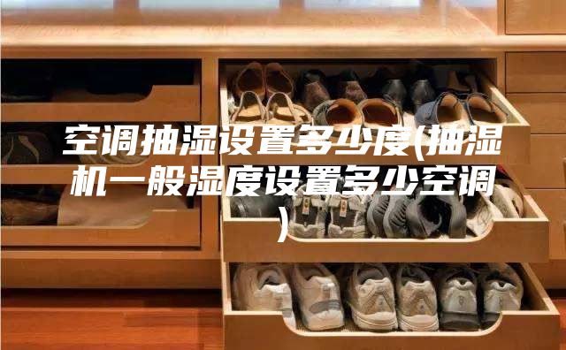 空调抽湿设置多少度(抽湿机一般湿度设置多少空调)