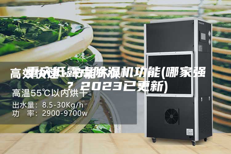 重庆低露点除湿机功能(哪家强？2023已更新)