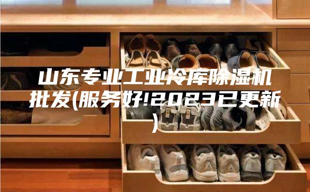 山东专业工业冷库除湿机批发(服务好!2023已更新)