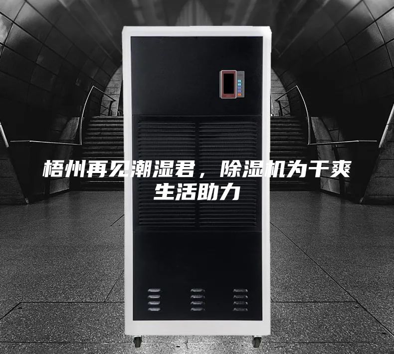 梧州再见潮湿君，除湿机为干爽生活助力