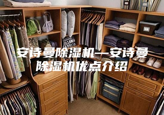 安诗曼除湿机—安诗曼除湿机优点介绍