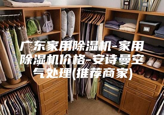 广东家用除湿机-家用除湿机价格-安诗曼空气处理(推荐商家)