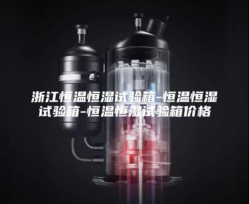 浙江恒温恒湿试验箱-恒温恒湿试验箱-恒温恒湿试验箱价格