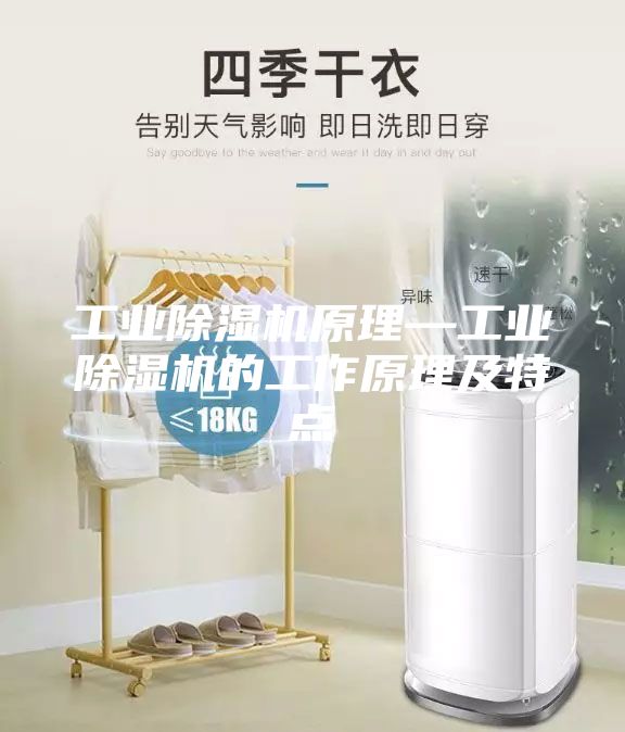 工业除湿机原理—工业除湿机的工作原理及特点