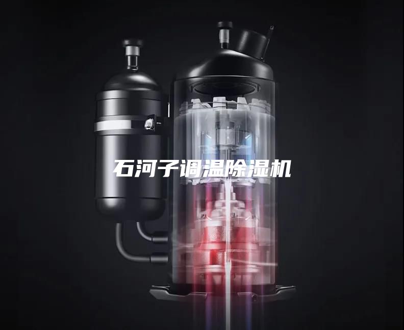 石河子调温除湿机