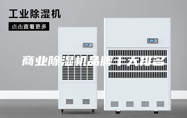 商业除湿机品牌十大排名