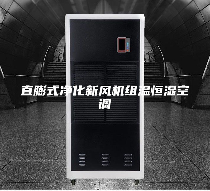 直膨式净化新风机组温恒湿空调