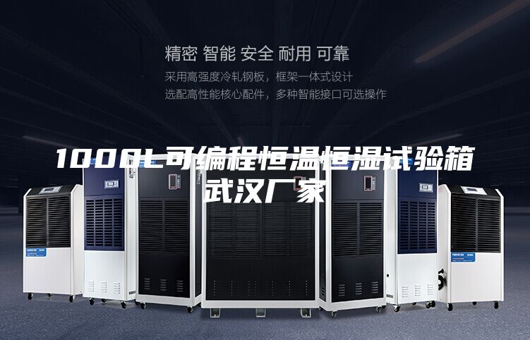 1000L可编程恒温恒湿试验箱武汉厂家