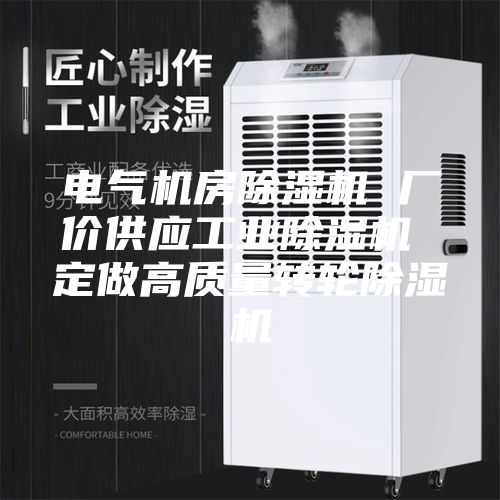 电气机房除湿机 厂价供应工业除湿机 定做高质量转轮除湿机