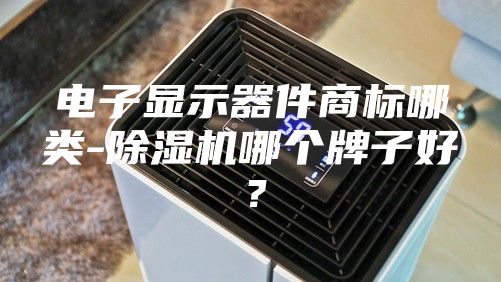 电子显示器件商标哪类-除湿机哪个牌子好？