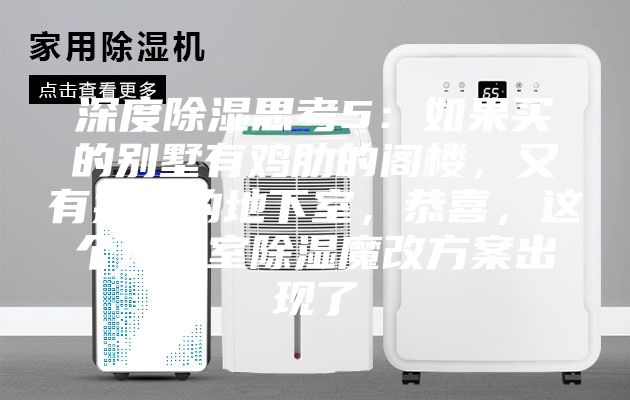 深度除湿思考5：如果买的别墅有鸡肋的阁楼，又有操心的地下室，恭喜，这个地下室除湿魔改方案出现了