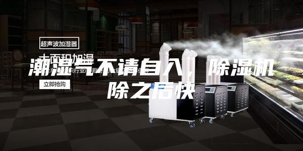 潮湿气不请自入，除湿机除之后快
