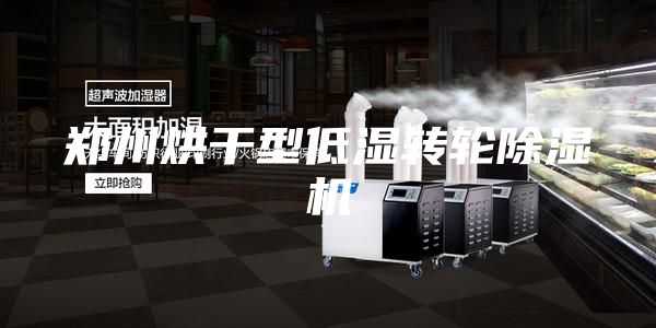 郑州烘干型低湿转轮除湿机